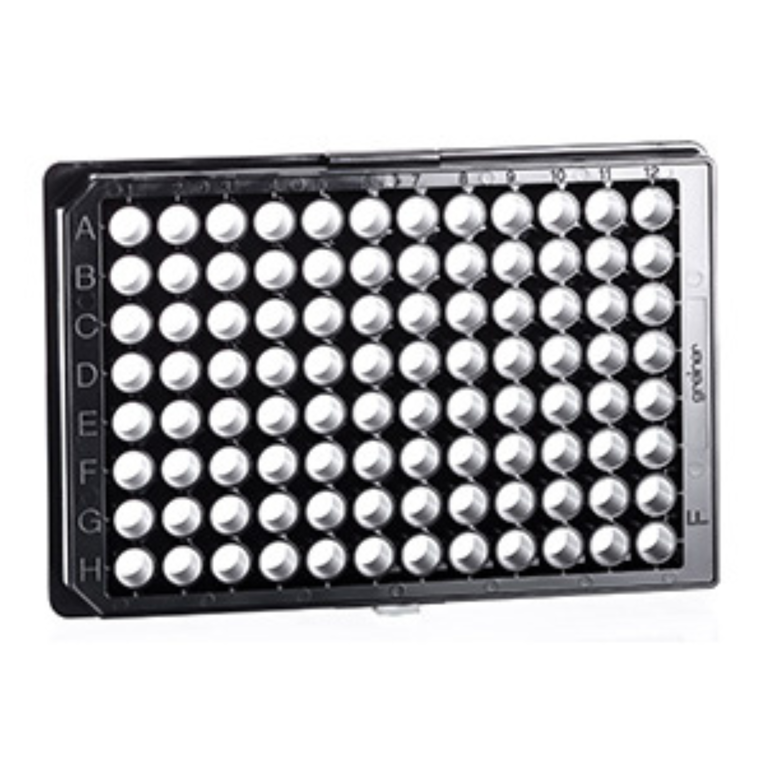 PLACEBO ゴブリン 5'4\" PLACEBO GOBLIN EPS】5'4”／32.0L プレセボ ゴブリン