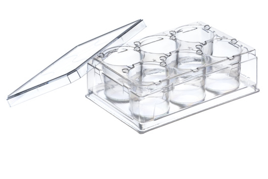 Greiner Bio-One ThinCert Plate, 6W, Sterile, w/ Lid