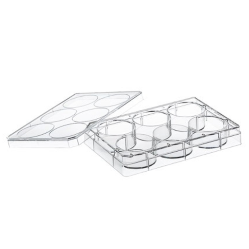 [657940] CELLCOAT, 6W Plate, PS, Coated w/Poly-D-Lysine, Flat BOT, Chimney Style, CLR, w/ Lid, Case of 50
