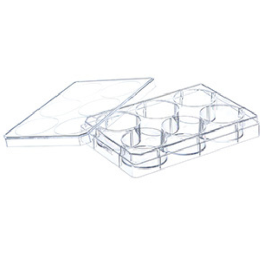 [657960] Advanced TC, 6 Well, with lid, Clear, Sterile, 1/pk, Case of 100