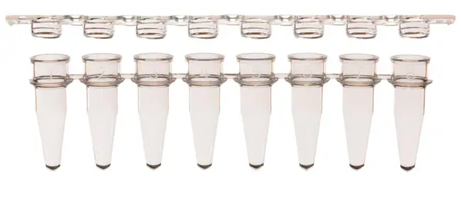 COMBO Sapphire RT PCR 0.2ml strip tubes, standard profile, clear, strip caps caps in same box, Case of 1250