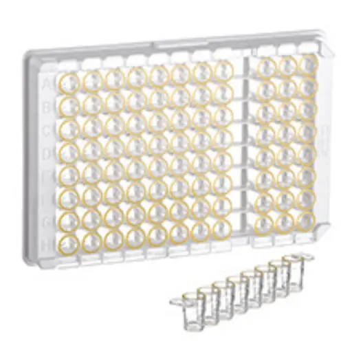 [705076] Greiner Bio-One 96W C8 Single-break MICROLON 600 Strip Plate, PS, High Binding, 1 x 8 Break-Apart C-Bottom (Flat w/curved edge) strips, Clear Wells w/Yellow Rim