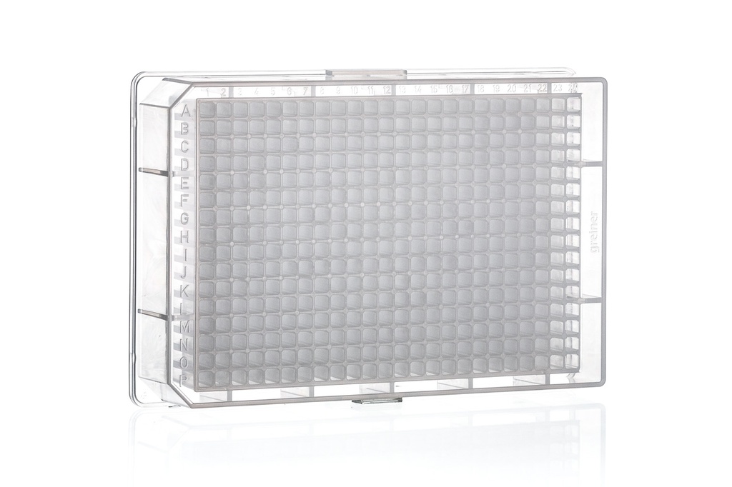 Greiner Bio-One 384 Deep Well Masterblock Storage Plate, PP, 225 µL/well, Conical Bottom, Natural