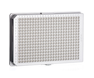[781945] Greiner Bio-One Cell Culture Microplate 384W CellCoat Poly-D-Lysine Plate, PS, Flat Bottom, White, w/Lid