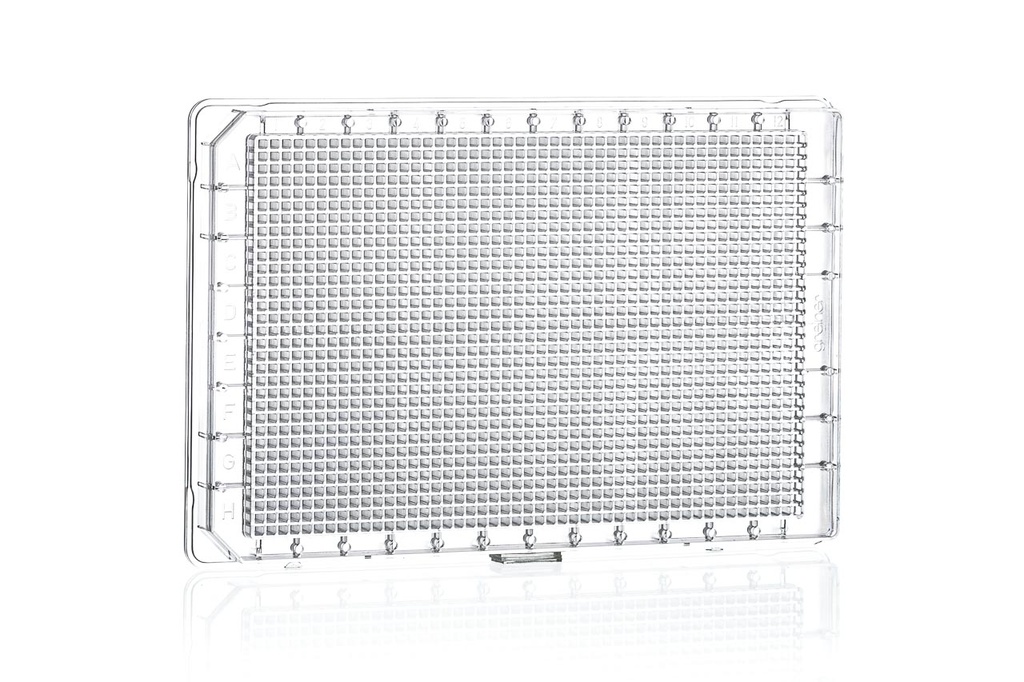1536W HiBase Plate, PS, Flat Bottom, Clear, Case of 60