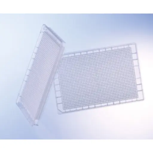 [782261] Greiner Bio-One 1536 Deep Well Masterblock Storage Plate, PP, Sterile, 15 µL/well, Conical Bottom, Natural