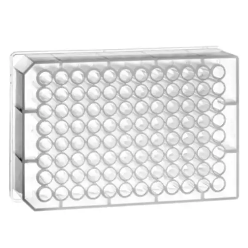 [786201] 96 Deep Well MASTERBLOCK Storage Plate, PP, 0.5 mL/well, Conical Bottom, Natural, Case of 80