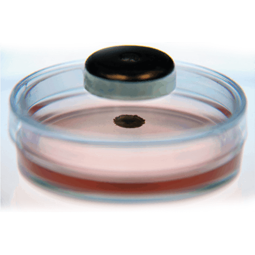 [662000-06] 24W Plate, No BOT, PS, Chimney Style, BLK, Case of 28