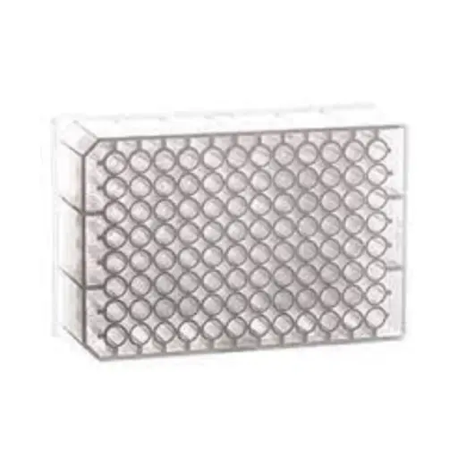 [786261-8PK] 96 Deep Well MASTERBLOCK Storage Plate, PP, Sterile, 0.5 mL/well, Conical Bottom, Natural, Case of 80